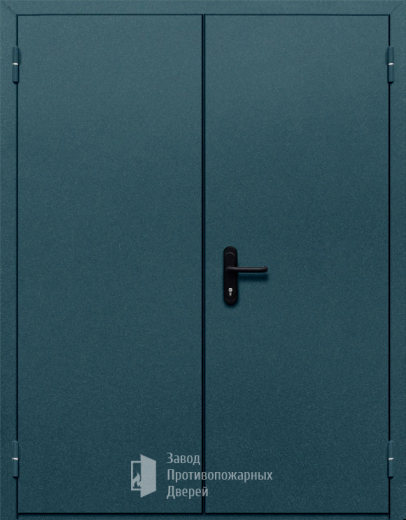 Фото двери «Двупольная глухая №37» в Лосино-Петровскому