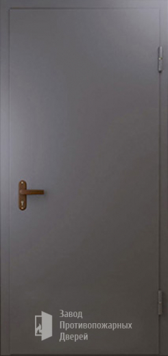 Фото двери «Техническая дверь №1 однопольная» в Лосино-Петровскому