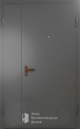 Фото двери «Техническая дверь №6 полуторная» в Лосино-Петровскому